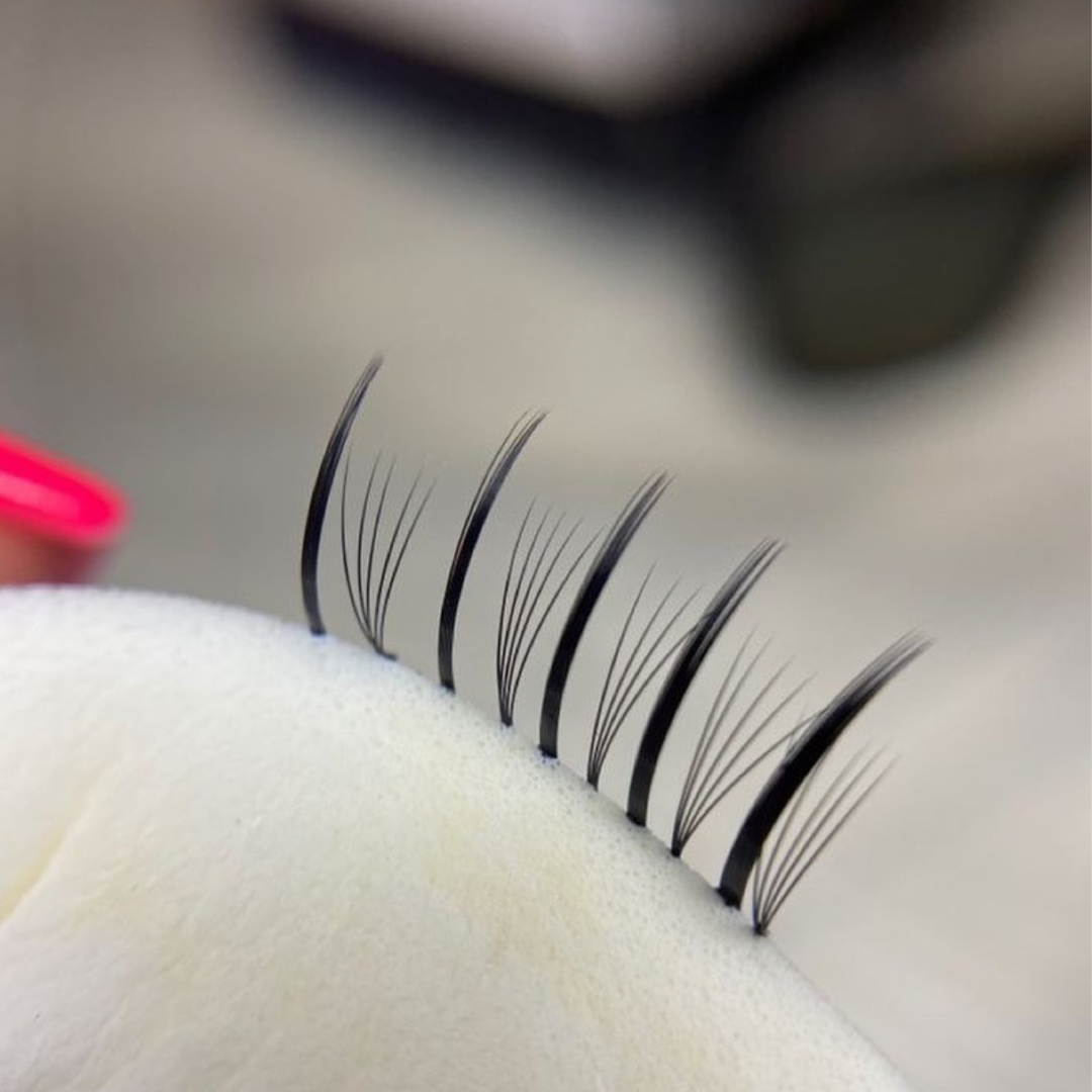 eyelash extensions miaim